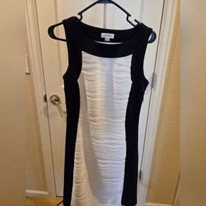 Calvin Klein Black and White Women's Dress